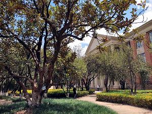 Kunming - Universite du Yunnan (50)